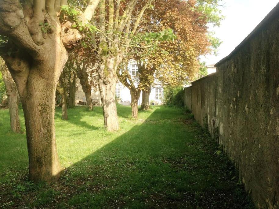 Ancien Presbytere Au Coeur Du Village Mauvezin  Ngoại thất bức ảnh